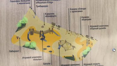 Photo of Мэр Липецка представил новый проект развития