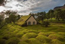 Photo of Путешествие в Исландию: гейзеры и ледники