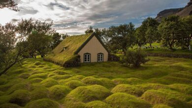 Photo of Путешествие в Исландию: гейзеры и ледники