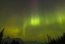 Photo of Путешествие в Норвегию: фьорды и северное сияние