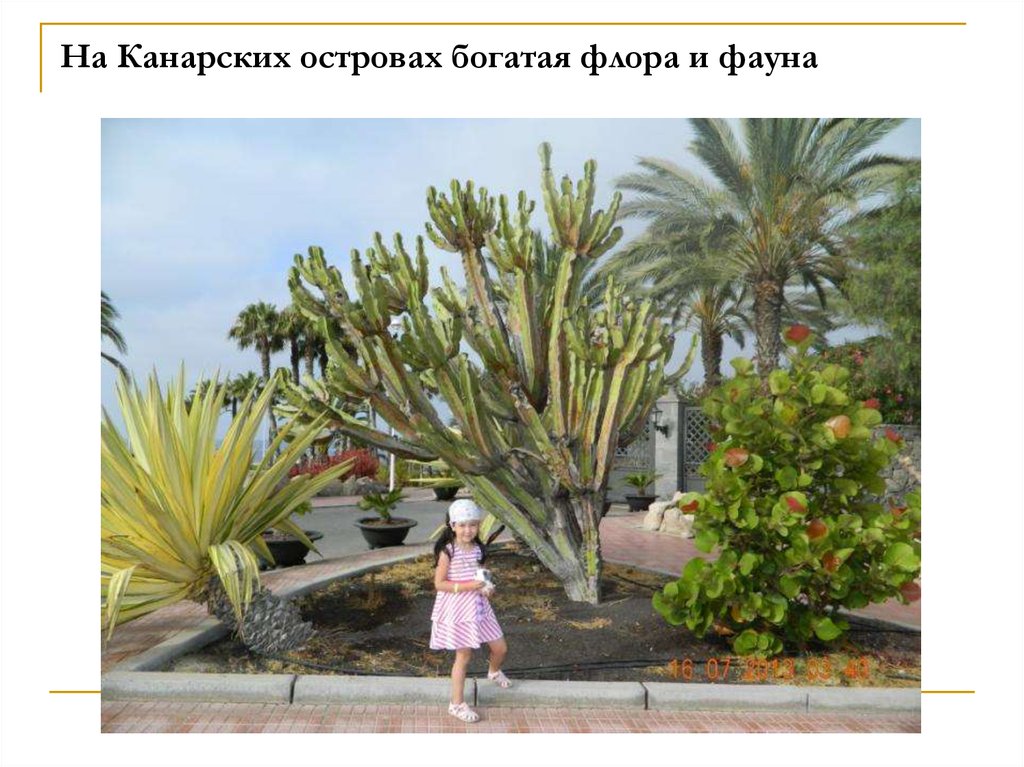 Фото 8 — Отдых на островах Галапагос: уникальная фауна и дайвинг
